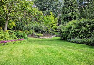 Optimiser l'expérience du jardin à Nonancourt